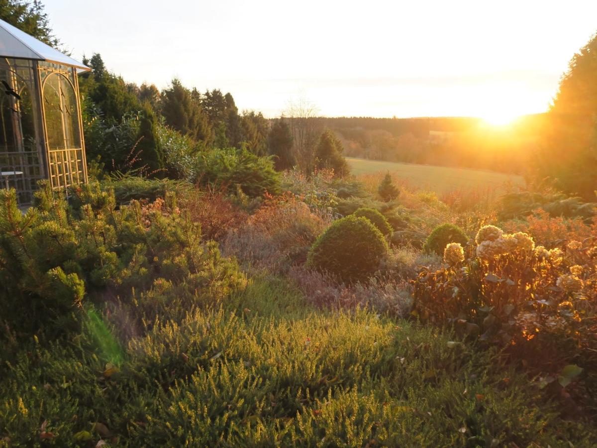 Ferienhaus Sonne, Harz Und Sterne Villa Hohegeiß Eksteriør billede