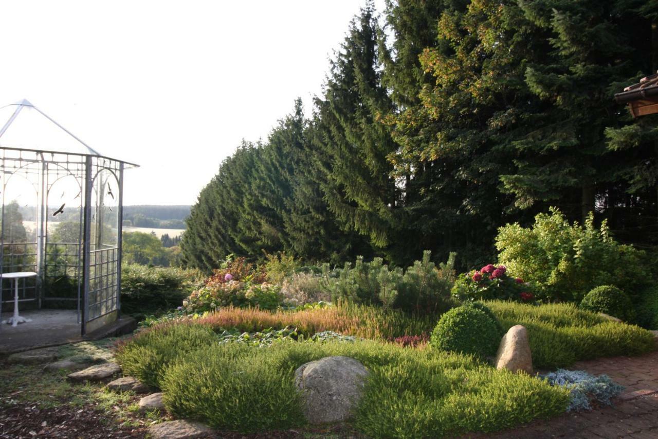 Ferienhaus Sonne, Harz Und Sterne Villa Hohegeiß Eksteriør billede