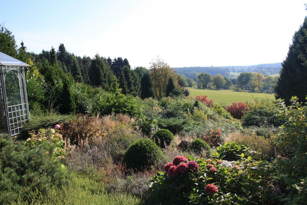 Ferienhaus Sonne, Harz Und Sterne Villa Hohegeiß Eksteriør billede