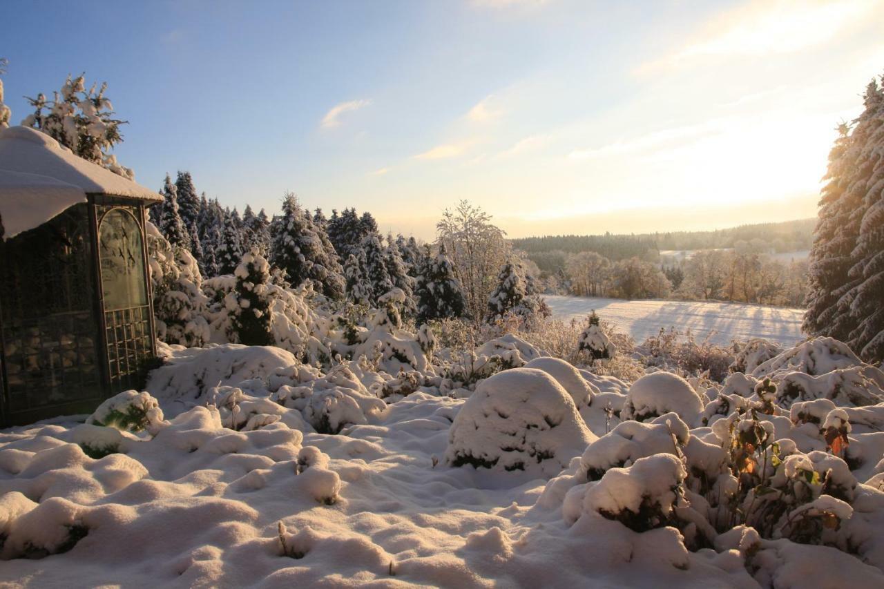 Ferienhaus Sonne, Harz Und Sterne Villa Hohegeiß Eksteriør billede