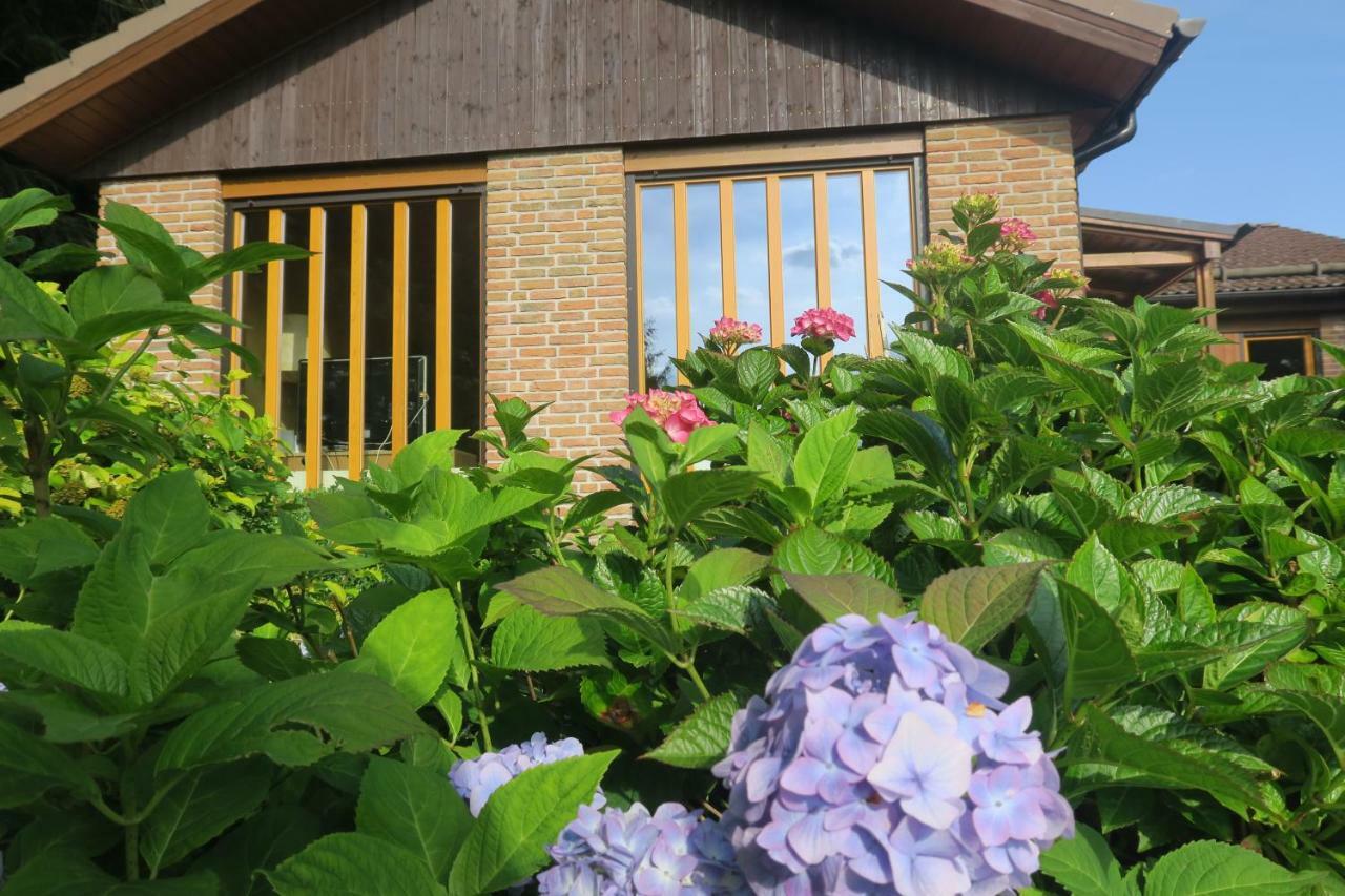 Ferienhaus Sonne, Harz Und Sterne Villa Hohegeiß Eksteriør billede